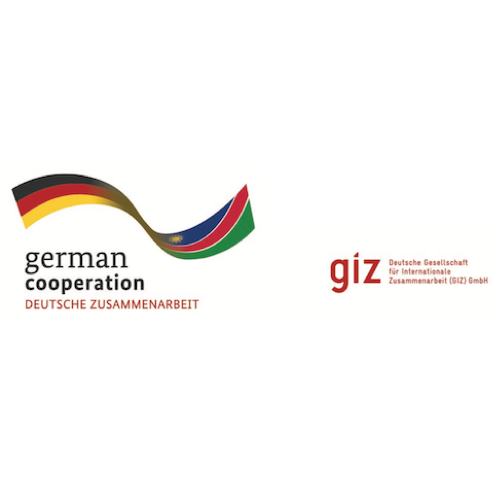 GIZ logo.